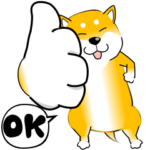 激しく尻尾をふって飛び出す柴犬