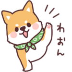 ころころ柴犬