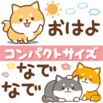 小さめかわいい★かまってチビ柴25