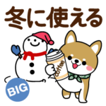 冬〜新春♡豆柴・柴犬