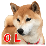 オフィスレディ柴犬