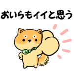おいら柴犬