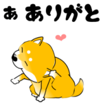 激しく尻尾をふる柴犬 new