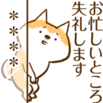 柴ちん7 柴犬とお仕事