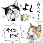 意外と使えるリアル猫