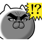  目ヂカラ☆にゃんこ×NURO 光