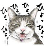 意外と使えるリアル猫スタンプ2
