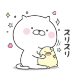 ぬこ、ところによりピヨ。２日目