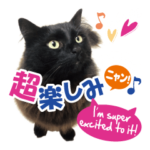 お気楽ニャンのタンゴ君 vol.2