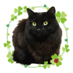 お気楽ニャンのタンゴ君 vol.1