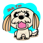 シーズーのクッキーくん