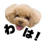 マルコのスタンプ 1