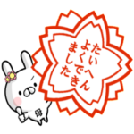 専用名前ウサギ2