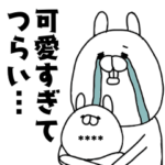 可愛すぎてつらい（名前カスタムver.）