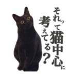 黒猫のこねろく