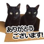 黒猫のメグロモグロ