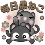 毎日黒ねこ