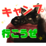 黒猫amoスタンプ2