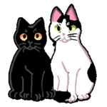 うちの白黒猫と黒猫