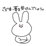 無難なウサギ　煽り