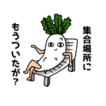 煽りベジタブル