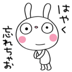 前向き☆ふんわかウサギ