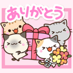 毎日便利な☆５匹のちび猫