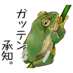 テキトーに生きている、カエル