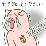 ぶたの世界。13