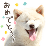 なかよし！犬猫スタンプだよ