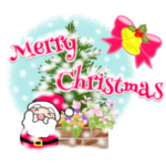 寒い時も癒される❣️冬のガーデニング