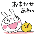 明るい☆ふんわかウサギ