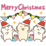 猫のみゃーすけ4