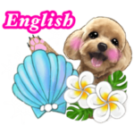 ハワイのお花とレッドトイプー 英語版