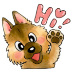 ベルジアンシェパード犬