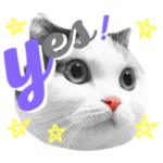 猫の3姉妹むぎちょこみるくスタンプ