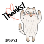 にゃん公の英語