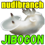 キュートなジボゴン英語