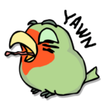 ねむインコ★毎日つかえる英語Ver.