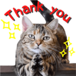 猫カフェキャッチーの日常 2 英語版