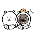 うちの子シリーズ『うさぎのラナ&ロア』