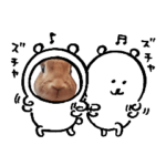 うちの子シリーズ『うさぎのてんちゃん』