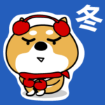 柴犬の冬。寒っっ！