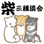 柴犬スタンプ9～柴～三種混合