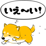 激しく尻尾をふる柴犬 new4