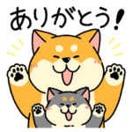 柴犬むちの毎日