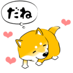 激しく尻尾をふる柴犬 new3