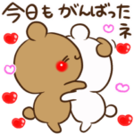 アモーレ♡くまくま