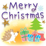 大人の気遣い♡クリスマスお正月特別編