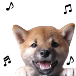 動く！柴犬の写真スタンプ4